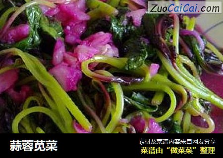 蒜蓉苋菜