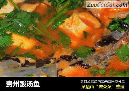 贵州酸汤鱼