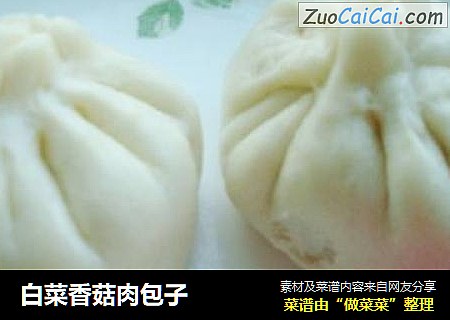 白菜香菇肉包子