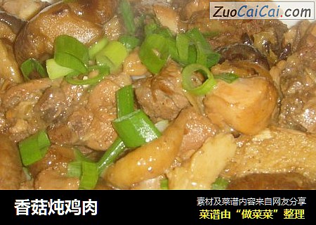 香菇炖鸡肉