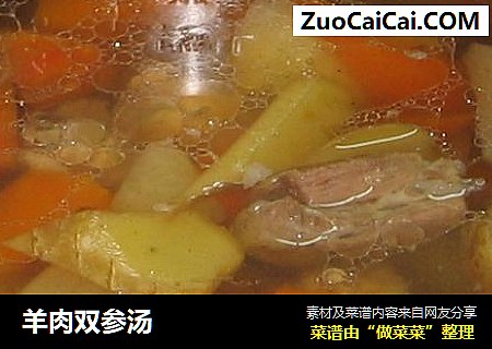羊肉双参汤