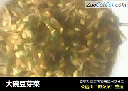 大碗豆芽菜