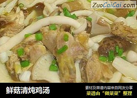 鲜菇清炖鸡汤