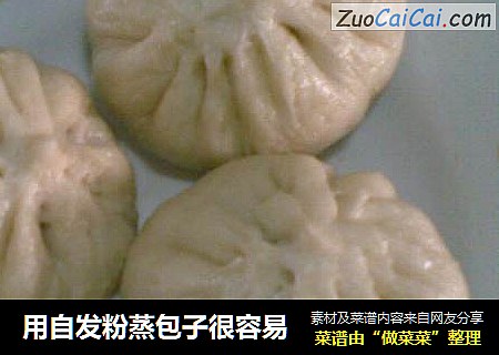 用自发粉蒸包子很容易