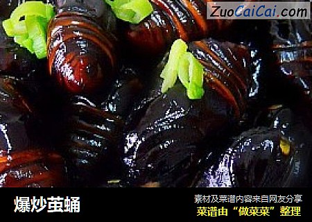 爆炒茧蛹
