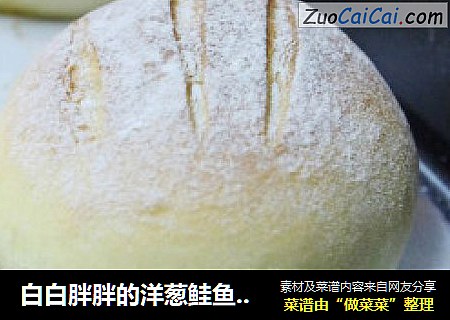 白白胖胖的洋葱鲑鱼面包