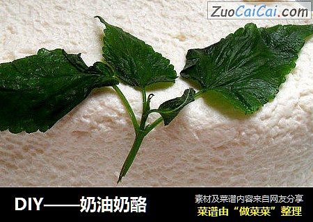 DIY——奶油奶酪