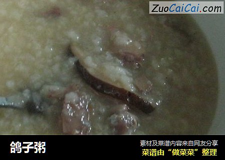 鸽子粥