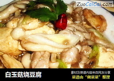 白玉菇烧豆腐