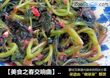 【美食之春交响曲】——绿叶情怀天添美食《蒜米米苋》