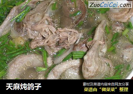 天麻炖鸽子