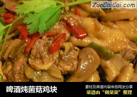 啤酒炖菌菇鸡块