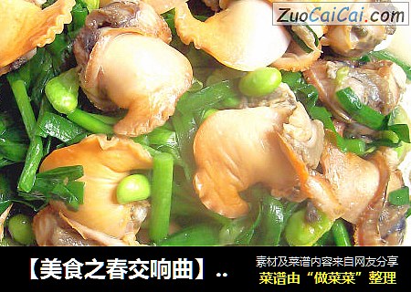 【美食之春交响曲】——绿意献鲜《韭菜毛豆炒毛蛤》