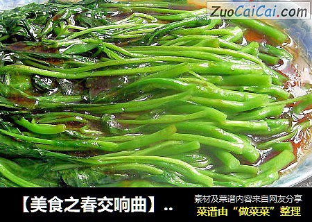【美食之春交响曲】——绿叶情怀《蚝油芥蓝菜》