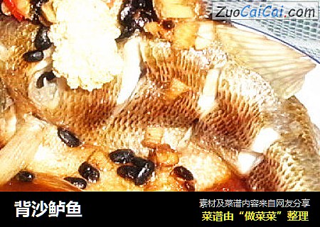 背沙鲈鱼