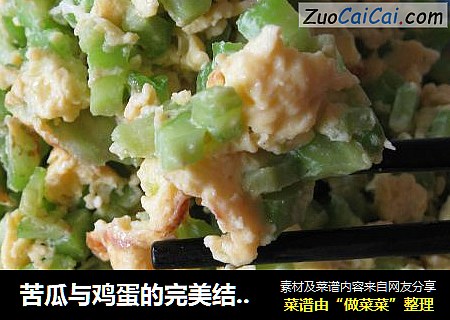 苦瓜与鸡蛋的完美结合——苦瓜炒蛋