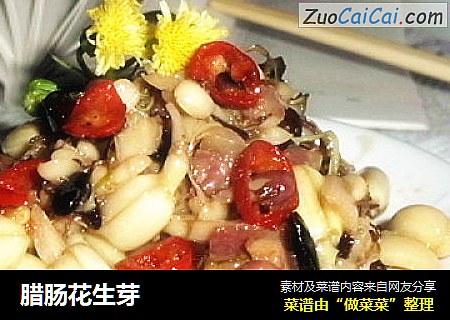 腊肠花生芽