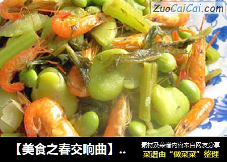 【美食之春交响曲】——绿意献鲜《咸菜毛豆豆瓣酥》