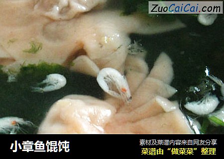 小章鱼馄饨