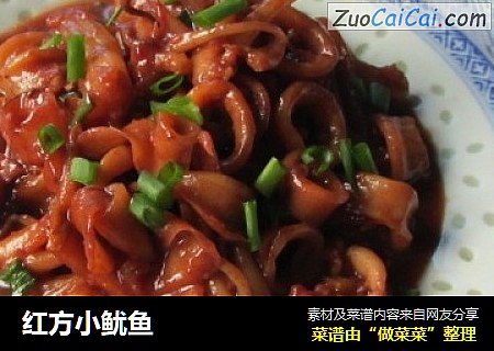 红方小鱿鱼