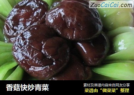 香菇快炒青菜