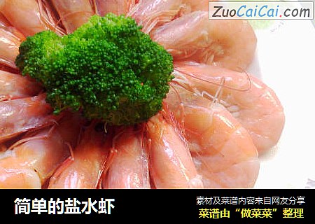简单的盐水虾