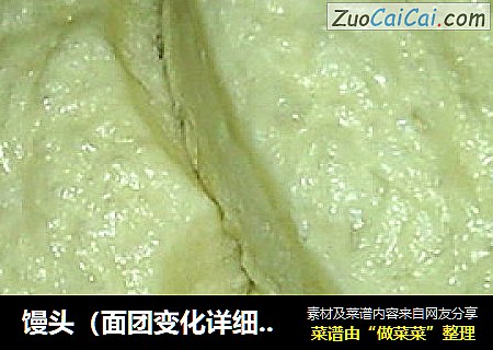 馒头（面团变化详细版）