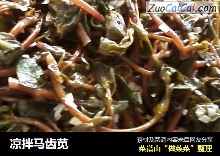 凉拌马齿苋