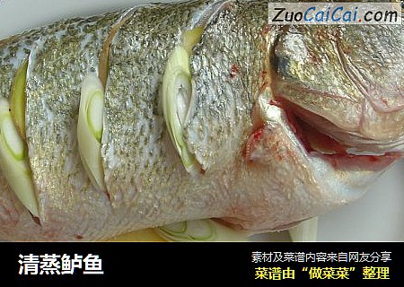 清蒸鲈鱼