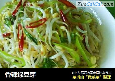 香辣绿豆芽