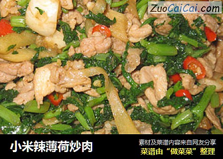 小米辣薄荷炒肉