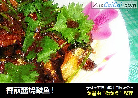 香煎酱烧鲅鱼！