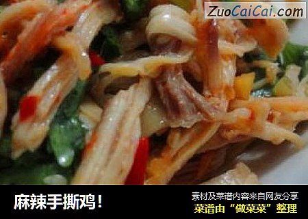 麻辣手撕鸡！