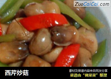 西芹炒菇