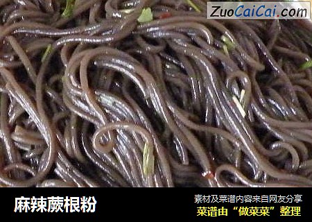麻辣蕨根粉