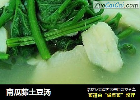 南瓜藤土豆汤