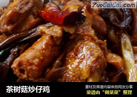 茶树菇炒仔鸡