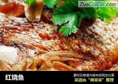 红烧鱼