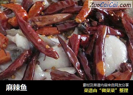 麻辣鱼