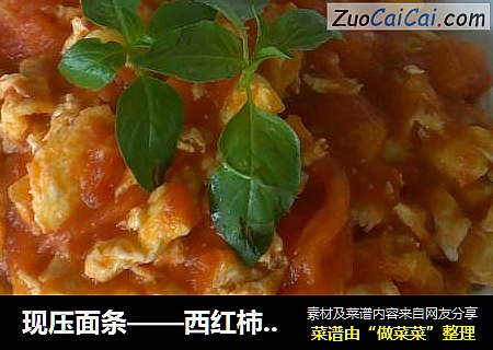 现压面条——西红柿鸡蛋捞面