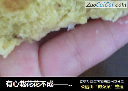 有心栽花花不成——玉米面的味道