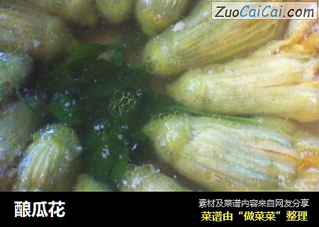 酿瓜花