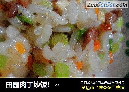 田园肉丁炒饭！～