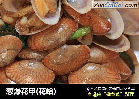 葱爆花甲(花蛤)