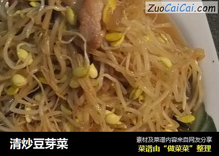 清炒豆芽菜