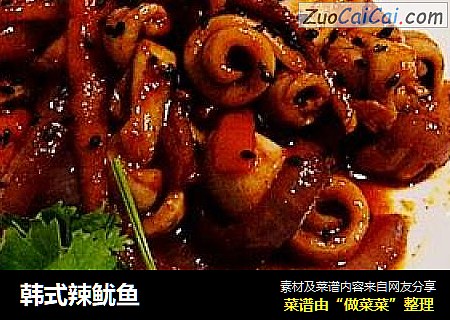 韩式辣鱿鱼