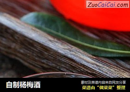 自制杨梅酒