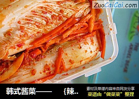 韩式酱菜——　｛辣白菜｝