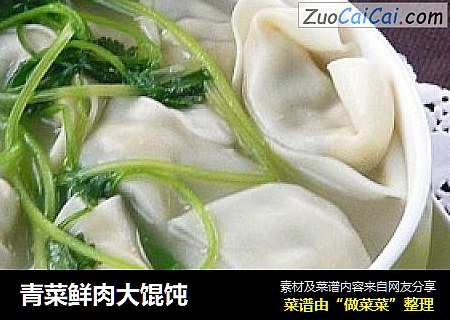 青菜鲜肉大馄饨