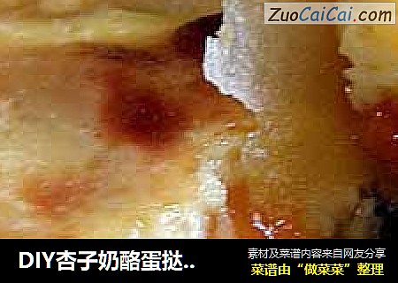 DIY杏子奶酪蛋挞&葡式蛋挞